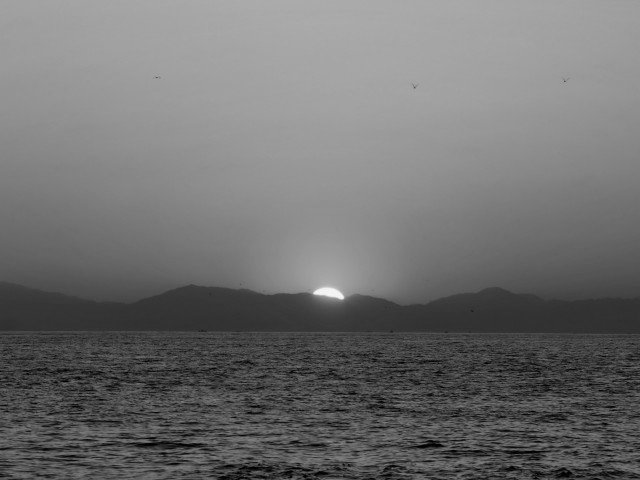 grayscale image(256 gradation)